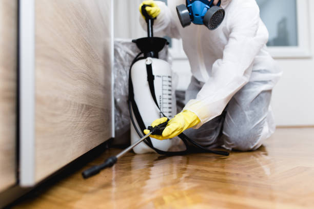 Reliable Prosser, WA Pest Control Solutions