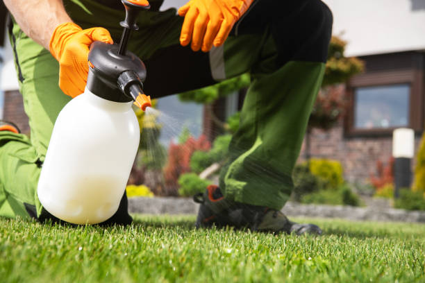 Best Affordable Pest Control Services  in Prosser, WA
