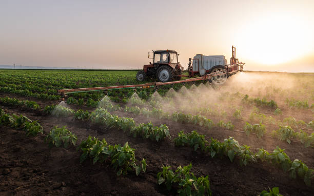 Pest Prevention Services in Prosser, WA