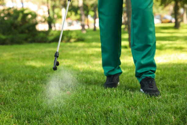 Best Termite Control Services  in Prosser, WA