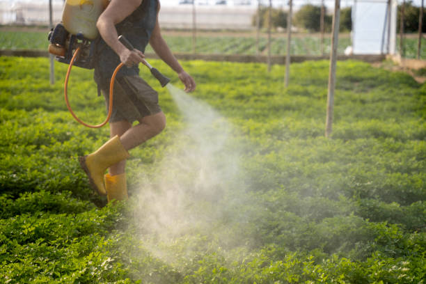 Best Pest Removal Services  in Prosser, WA
