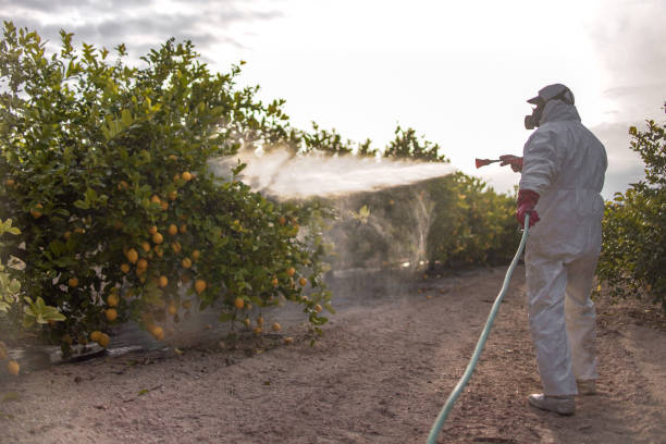 Best Commercial Pest Control Services  in Prosser, WA