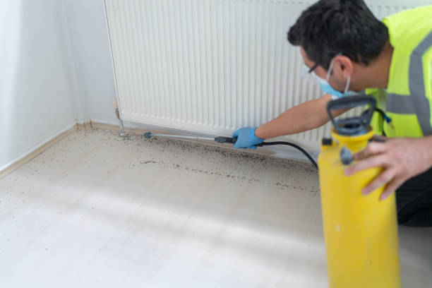 Best Insect Control  in Prosser, WA