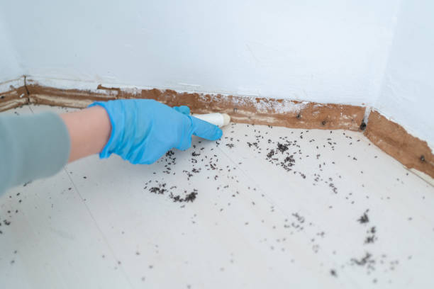 Best Wasp Removal Services  in Prosser, WA