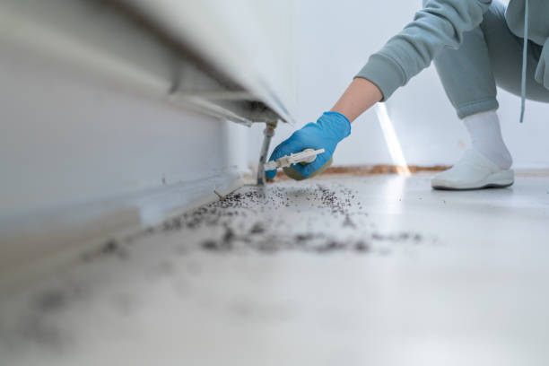 Best Pest Control Near Me  in Prosser, WA