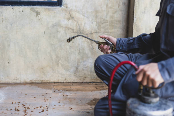 Best Exterminator Services  in Prosser, WA