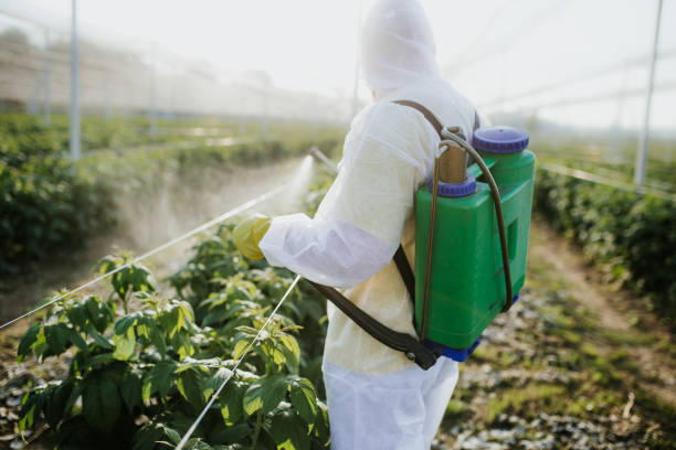 Best Residential Pest Control  in Prosser, WA